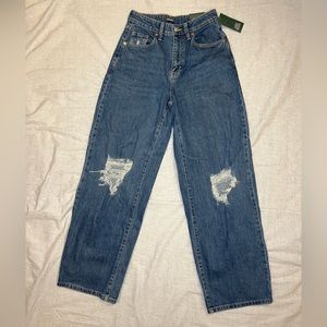 Wild Fable Highest Rise Baggy Jean, Size 0